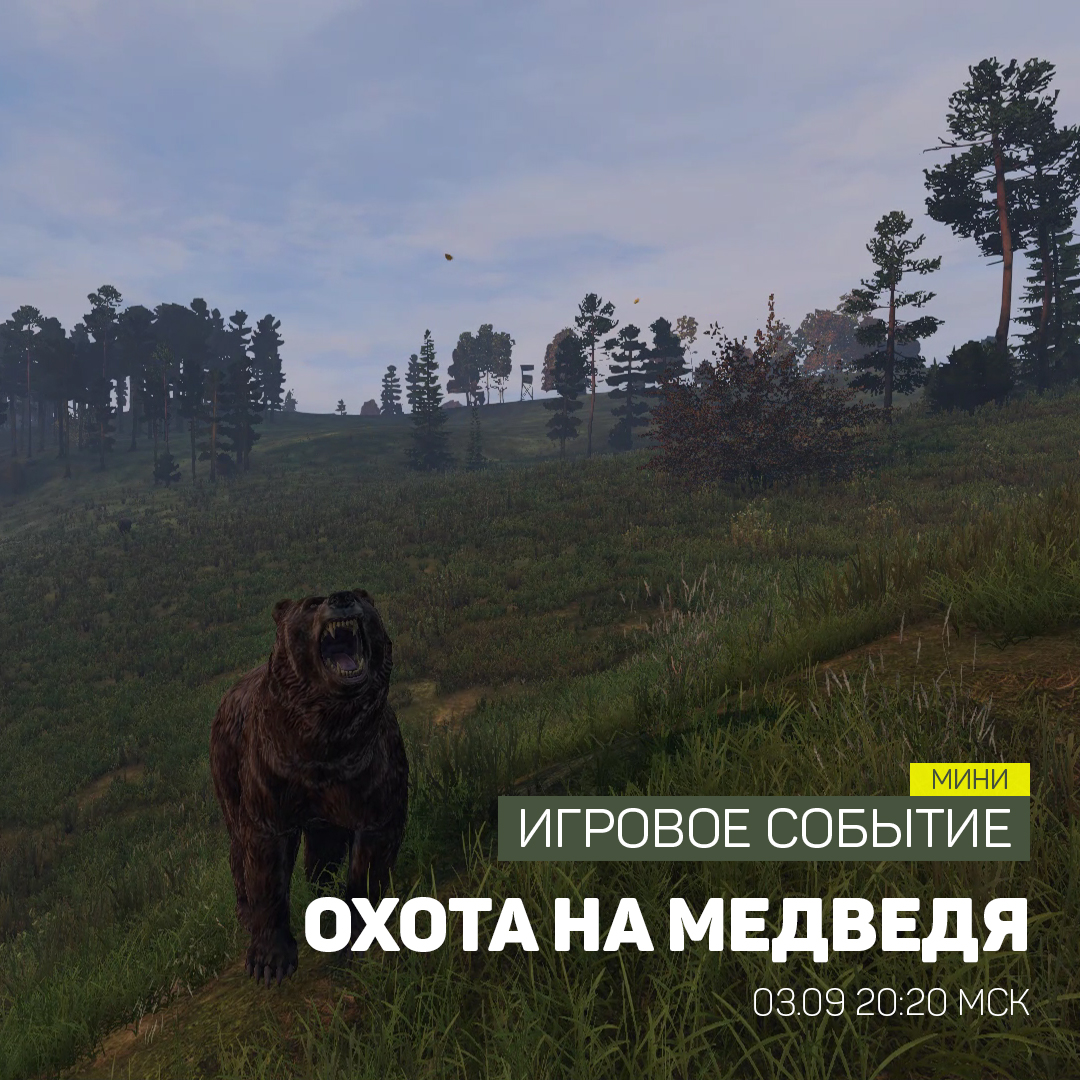 Dayz как найти животных